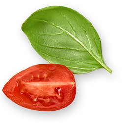 Tomat Leaf
